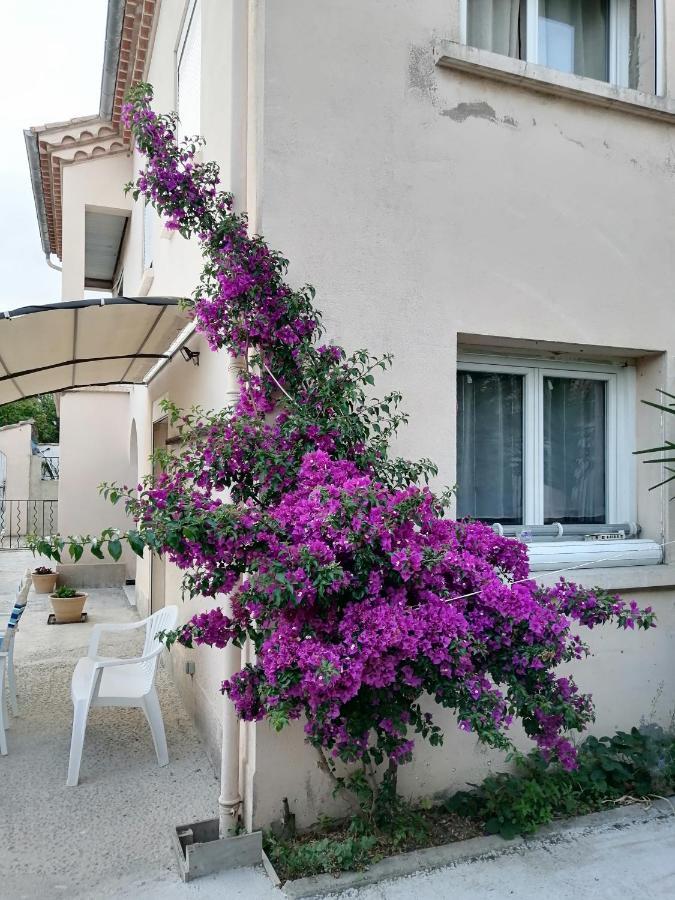 La Maison De 6Fran Appartement 2 Chaleureux Et Calme Ambiance Familiale Valros Exteriér fotografie