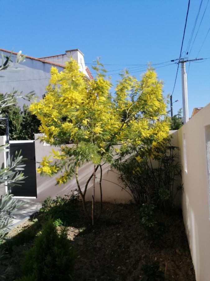 La Maison De 6Fran Appartement 2 Chaleureux Et Calme Ambiance Familiale Valros Exteriér fotografie